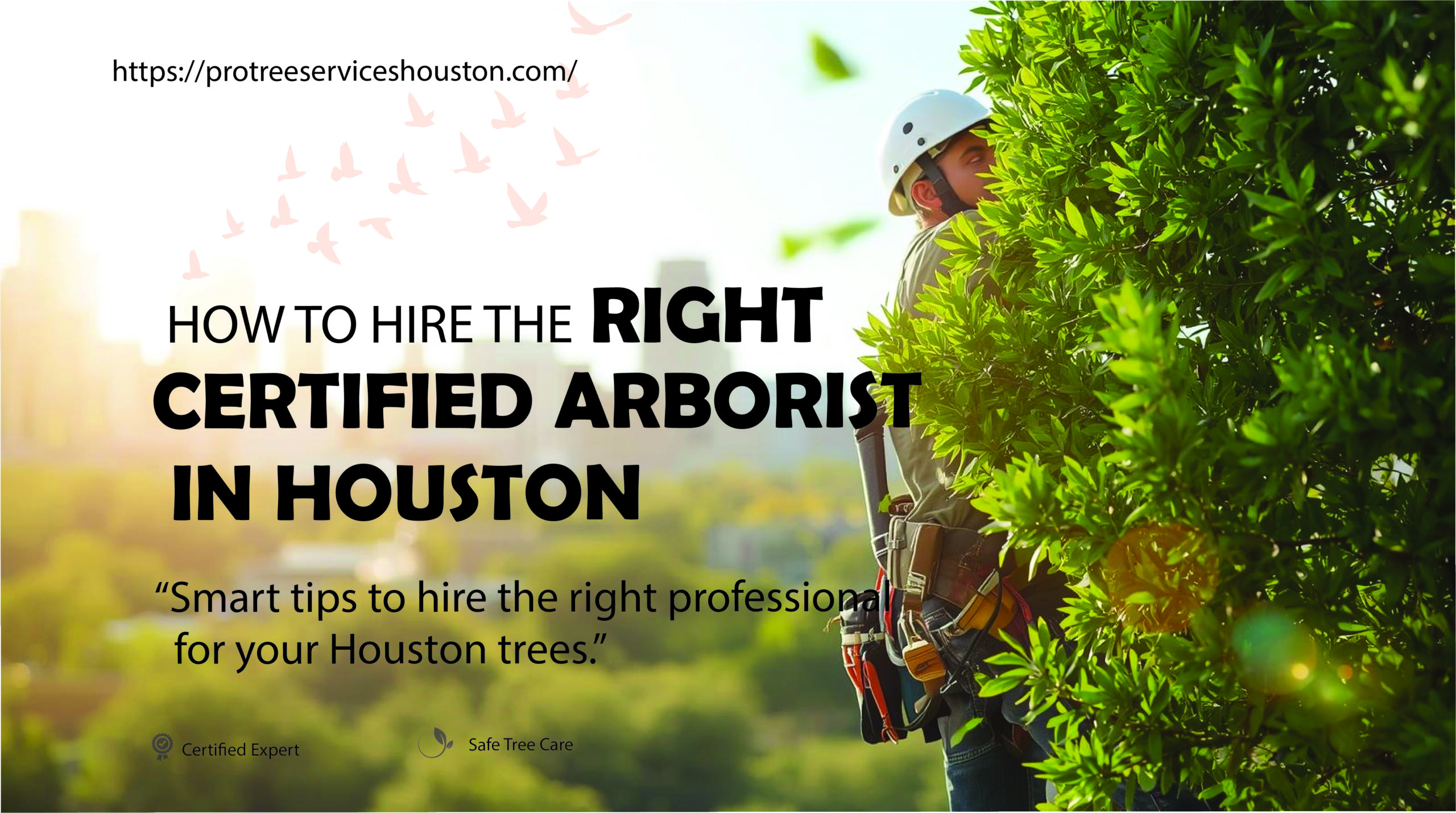 How to Hire the Right Certified Arborist in Houston?